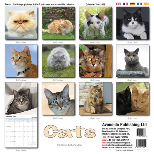Old Calendar that Feature Pets