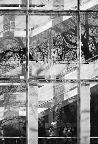 Reflections in a window (by Hamsteren)