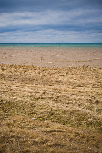 grass-to-lake gradient