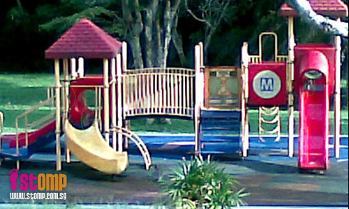 Family of monkeys make use of playground