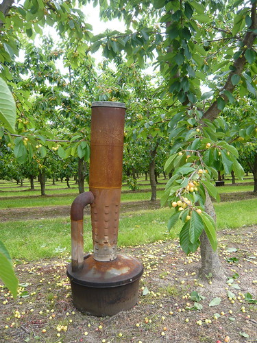 Orchard Heater
