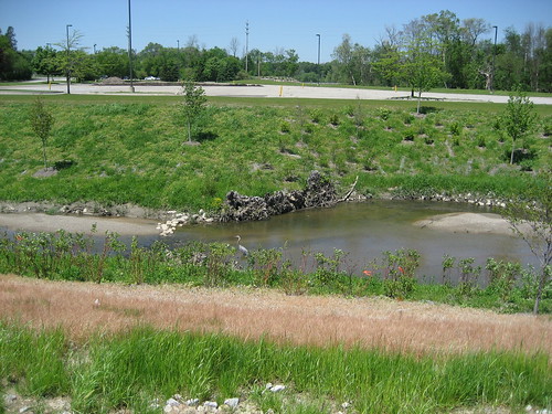 IMG_52992009, May  Applewood's Gilkey Creek Restoration
