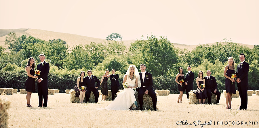 Vintage Bales of Hay Wedding Party Portrait Country