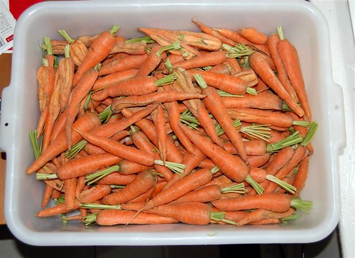 A whole box of carrots