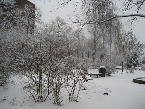Snow at Stockholm