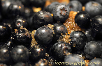 Blueberries with Sugar