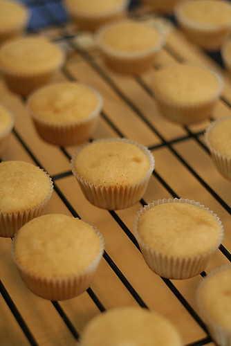 peanut butter cupcakes cooling