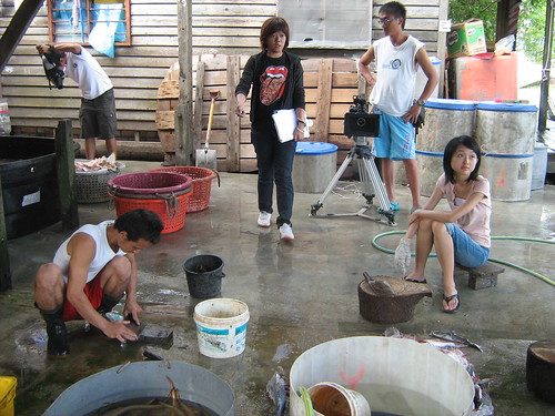 Preparing to shoot a scene in salted fish factory