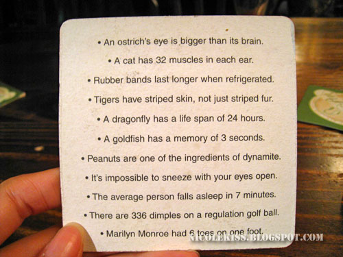 coaster fun facts