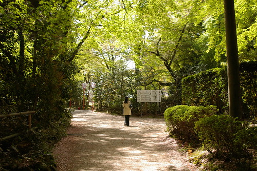 A female seeing the board in Iwashimizu Hachiman-gū,Yawata,Kyoto,Japan 2009/4/18