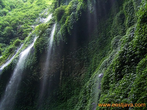 Madakaripura Waterfall Probolinggo