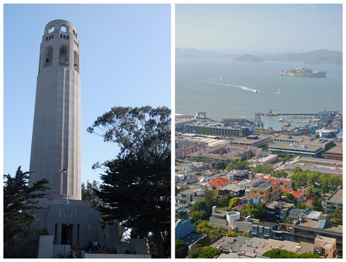 coit collage