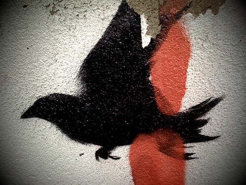 graffiti - silhouette of crow flying