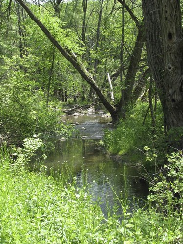 Originally, the Scanlon Creek area was colonized by early settlers.