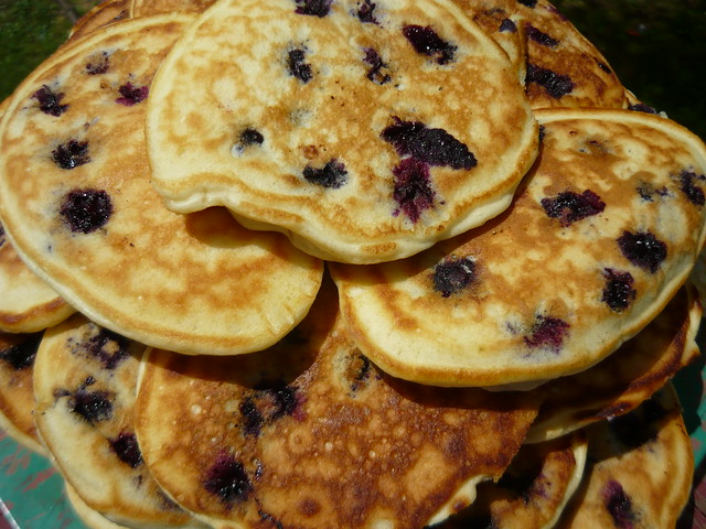 33 Blueberry Pancakes 7-30-09 009