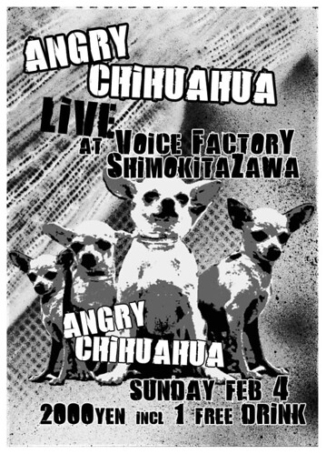 Angry Chihuahua Live Poster