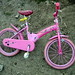Pink bike von brf