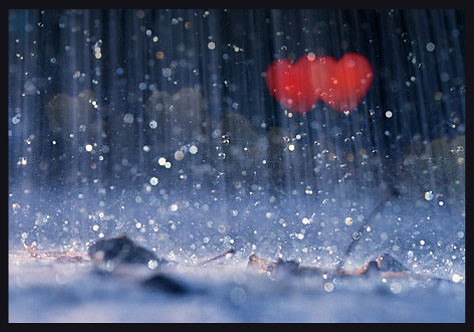 Love.. in the rain.