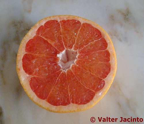 Citrus paradisi image