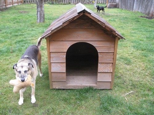 dog house plans. Step 1: Buy Dog House