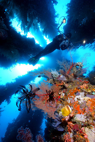 philippines scuba divings spots