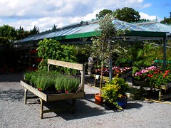 Garden Centre in Kilternan