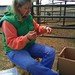 Careen sorting donated tack for fundraiser