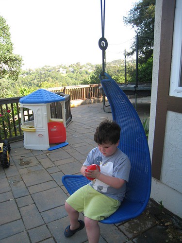 Leo in His New Chair Swing
