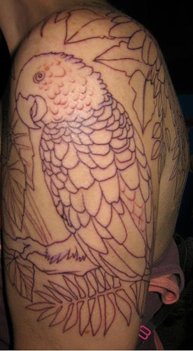 parrot tattoo. Parrot tattoo 1
