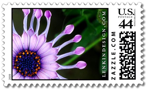 African Daisy stamp