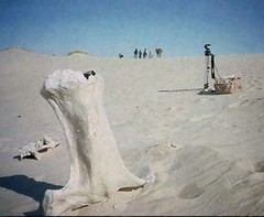taken by Michael Ryan in 1995 at palaeoblog (a must see)