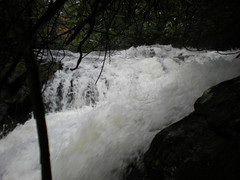 5-Canada Creek Falls Cascade 4-1
