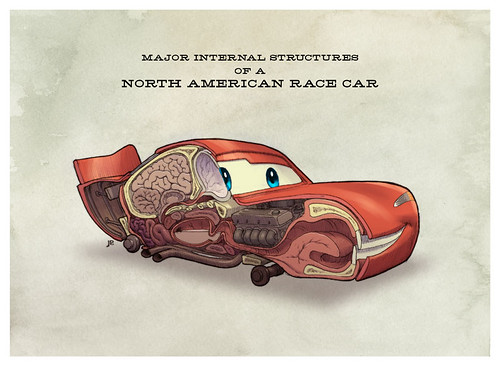 Major Internal Structures of a North American Race Car