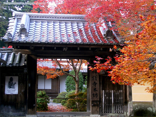 Tempio Jingo-Ji