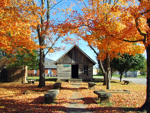 Davy Crockett Museum & Fall Foliage