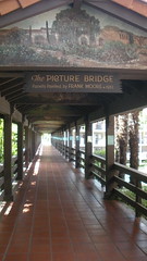 The Picture Bridge