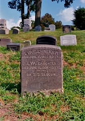 Eva_Schneider-Grave