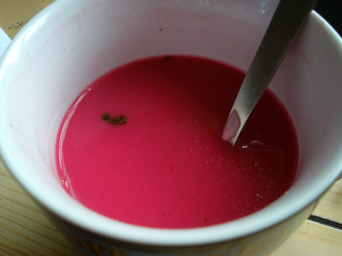Polish borscht cup-a-soup