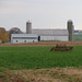 Amish farm machine in field