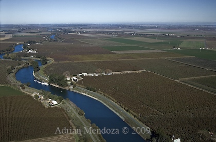 "Steamboat Slough" "Aerial Photo" "California Delta"