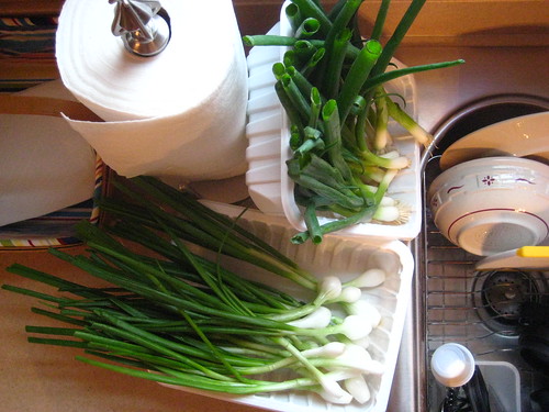 green onions, sinkside.