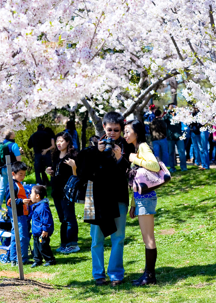 Washington D.C. Cherry Blossoms (1 of 7)