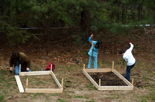 Raised beds in the making.
