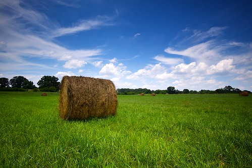 フリー画像| 自然風景| 草原の風景| 雲の風景| 干し草ロール|       フリー素材| 