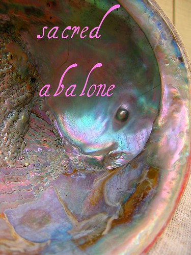 Sacred Abalone