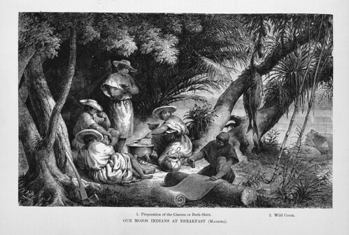 001e-Los Ríos Amazonas y Madeira 1875-Los indios Mojos desayunando