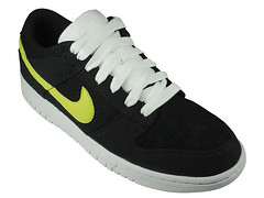 nike-dunk-low-cl-ss09-5