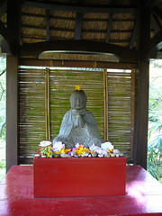 Zen moment in Japanese Garden