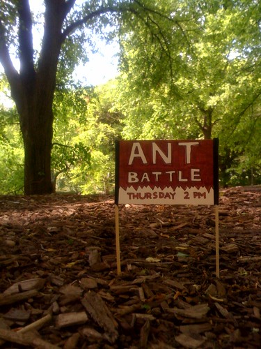 Ant Battle - Thursday 2pm