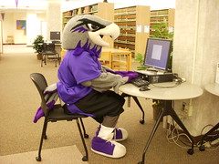 Willie uses an Andersen Library computer by uwwlibrary